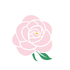 radieuse-paris-camelia-japonica.png